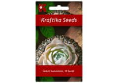 Kraftika 10 semen sukulentů sedum suaveolens