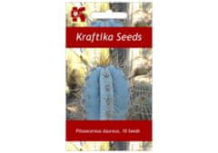 Kraftika 10 semen sukulentů pilosocereus azureus blue torch