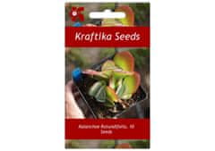 Kraftika 10 semen sukulentů kalanchoe rotundifolia
