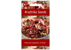 Kraftika 10 semen sukulentů echeveria longissima
