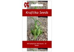 Kraftika 10 semen sukulentů mitrophyllum mitratum, hadí sukulent