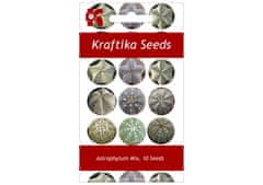 Kraftika 10 semen sukulentů mix astrophytum, květina pro štěstí
