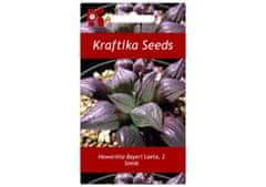 Kraftika 2 semena sukulentů haworthia bayeri laeta