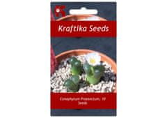 Kraftika 10 semen sukulentů conophytum praesectum ophthalmophyllum