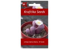 Kraftika 10 semen sukulentů lithops, "živé kamínky"