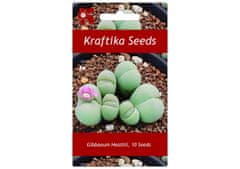 Kraftika 10 semen sukulentů gibbaeum heathii, "živé kamínky"