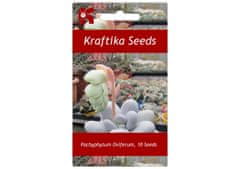 Kraftika 10 semen sukulentů pachyphytum oviferum