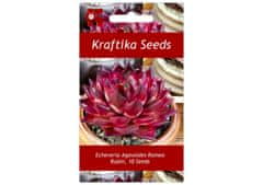 Kraftika 10 semen sukulentů echeveria agavoides romeo rubin