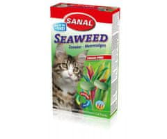 Kraftika Cat seaweed 50g -,