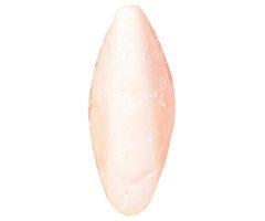 Trixie Sepiová kost volná 6 až 12cm, trixie, podpůrné prostředky