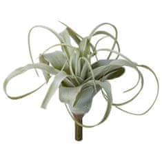 Lene Bjerre Dekorativní rostlina aloe FLORA, zelená