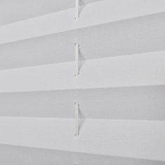 Greatstore Plisované žaluzie / rolety Plisse 110 x 125 cm - bílé