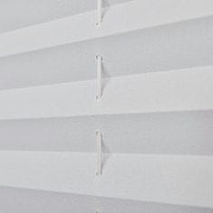 Greatstore Plisované žaluzie / rolety Plisse 90 x 100 cm - bílé
