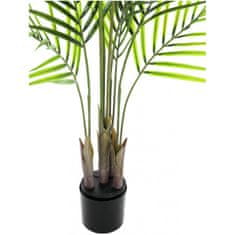 Europalms Areca palma s velkými listy, 125 cm