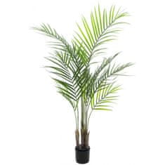 Europalms Areca palma s velkými listy, 125 cm