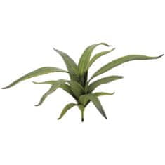 Europalms Aloe vera zelená, 66 cm