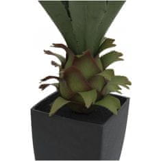Europalms Agave kaktus s květináčem, 75 cm