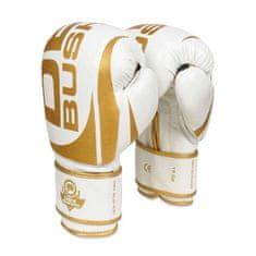 DBX BUSHIDO boxerské rukavice DBD-B-2v1 10 oz