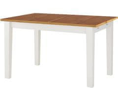 Danish Style Jídelní stůl Disa, 160 cm, bílá / borovice