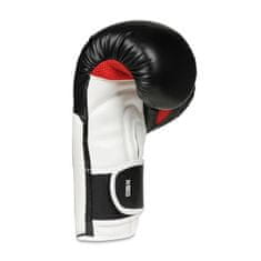 DBX BUSHIDO boxerské rukavice B-3W Pro 10 oz.