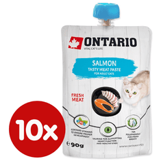 Ontario Salmon Fresh Meat Paste 10x90 g