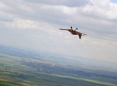 Allegria akrobatický let s letadlem Bulldog