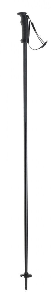 Elan Lyžařské hole Speed Rod Black 125 cm 2020