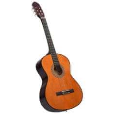 shumee vidaXL Klasická kytara pro začátečníky, 4/4 39", lipové dřevo
