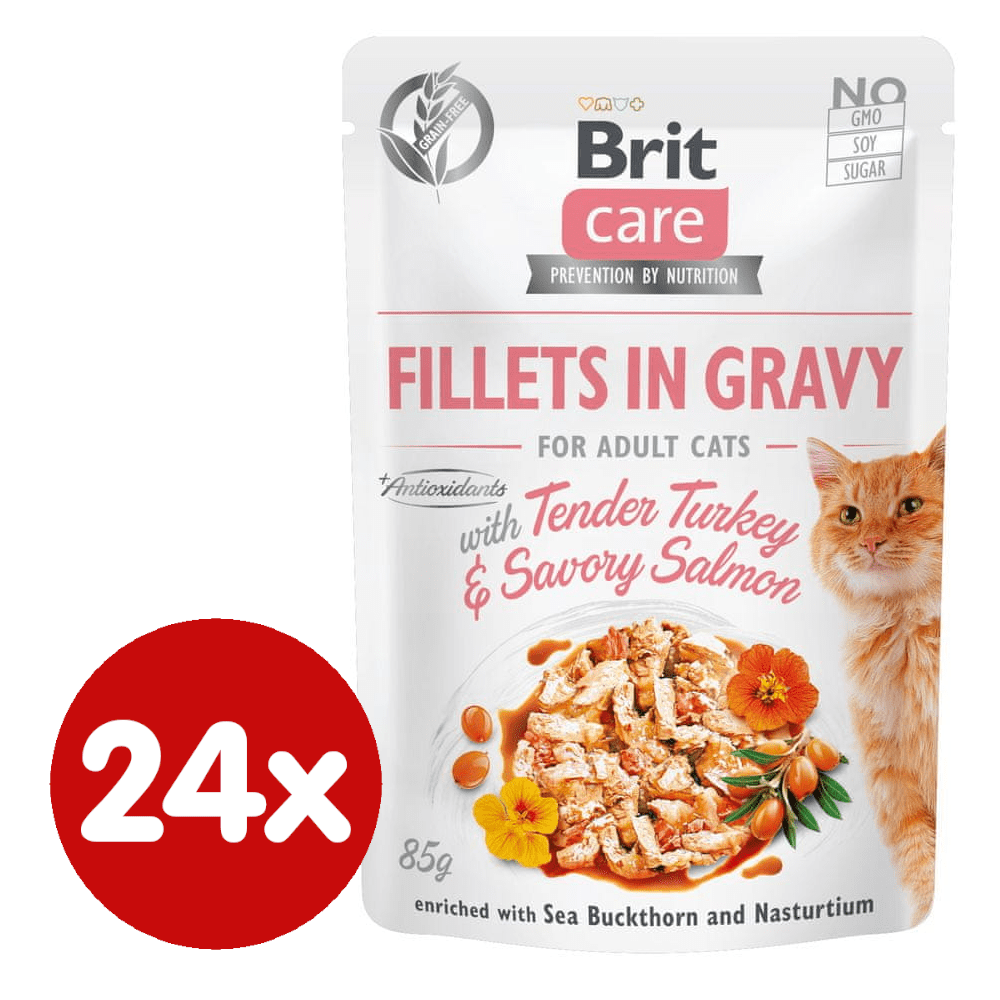 Levně Brit Care Cat Fillets in Gravy with Tender Turkey & Savory Salmon 24x85 g