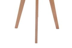 BHM Germany Jídelní stůl Alter, 60 cm, přírodní dřevo / bílá