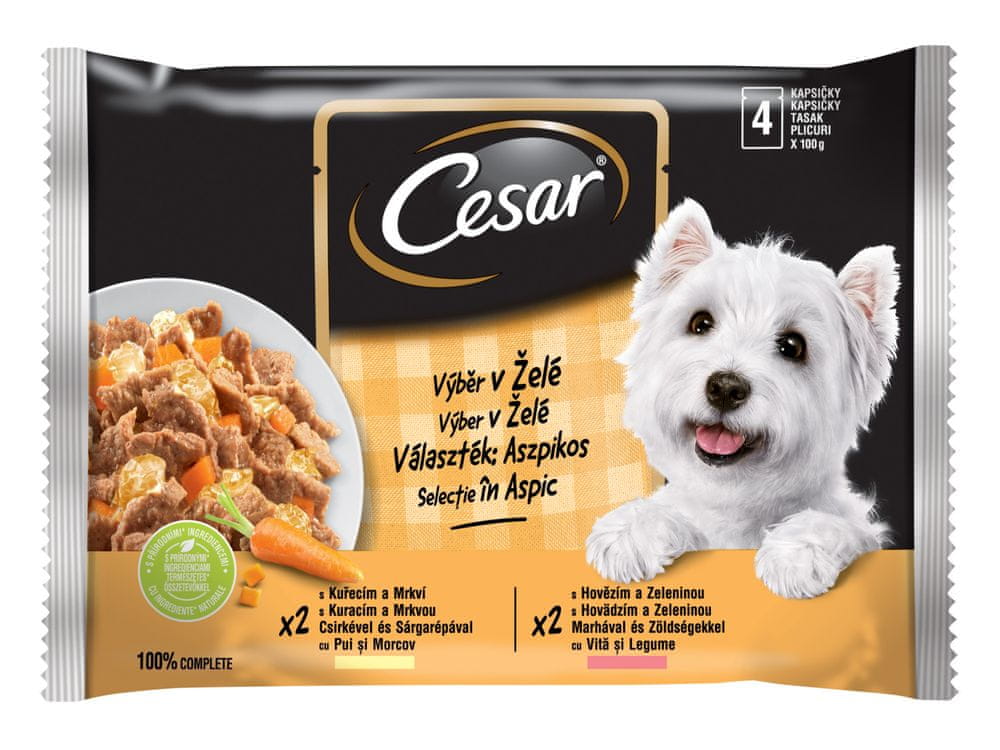 Levně Cesar kapsičky pro dospělé psy výběr v želé 52x100 g