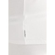 Calvin Klein 2 PACK - pánské triko Regular Fit NB1088A-100 (Velikost S)