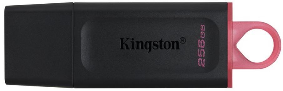 Levně Kingston DataTraveler Exodia 256BG, růžová (DTX/256GB)