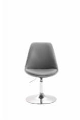 BHM Germany Jídelní židle Mave, šedá / stříbrná