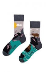 Ponožky pánské Medvěd a Rybky vícebarevná - Spox Sox vícebarevná 36-39