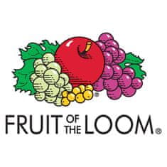 Greatstore Fruit of the Loom Originální trička 5 ks bílá S bavlna
