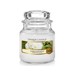 Yankee Candle Aromatická svíčka Classic malá Camellia Blossom 104 g