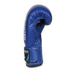 DBX BUSHIDO boxerské rukavice ARB-407v4 6 oz