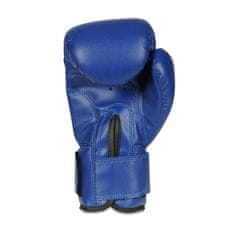 DBX BUSHIDO boxerské rukavice ARB-407v4 6 oz