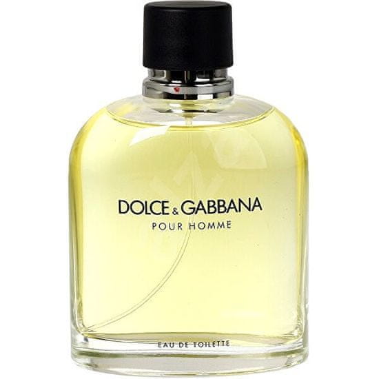 Dolce & Gabbana Pour Homme - EDT TESTER