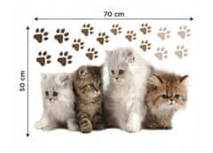 Dimex - Dekorační nálepky na zeď Koťata - 50 x 70 cm