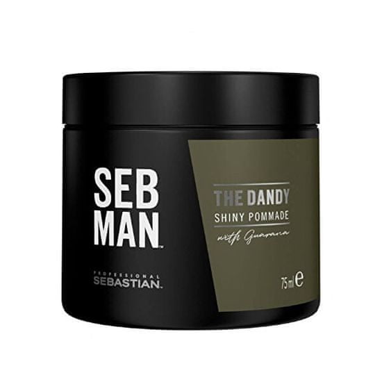 Sebastian Pro. Pomáda na vlasy SEB MAN The Dandy (Shiny Pommade) 75 ml