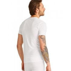 Calvin Klein 2 PACK - pánské triko Regular Fit NB1088A-100 (Velikost S)