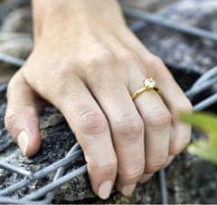 Beneto Pozlacený stříbrný prsten s krystaly AGG202 (Obvod 50 mm)