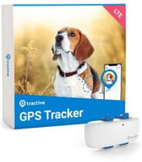 GPS DOG 4 – GPS sledování polohy a aktivity pro psy