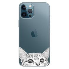 iSaprio Silikonové pouzdro - Cat 02 pro Apple iPhone 12 Pro