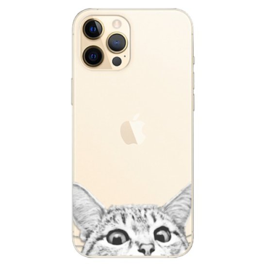 iSaprio Silikonové pouzdro - Cat 02 pro Apple iPhone 12 Pro Max