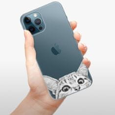 iSaprio Silikonové pouzdro - Cat 02 pro Apple iPhone 12 Pro Max