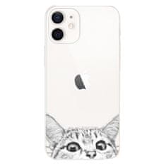 iSaprio Silikonové pouzdro - Cat 02 pro Apple iPhone 12