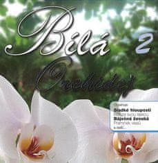 Bílá orchidej 2